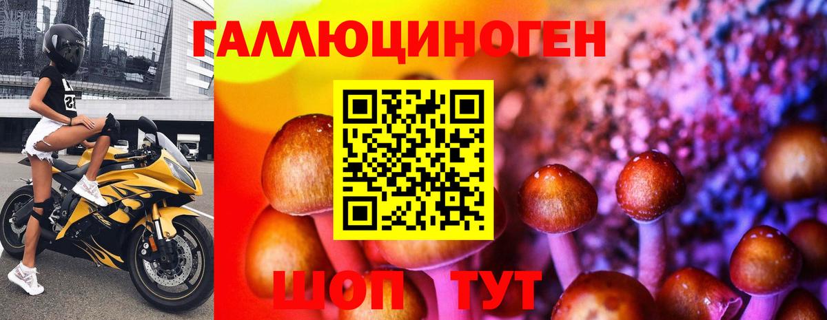 Галлюциногенные грибы Psilocybe  Вход с VPN  Саянск 