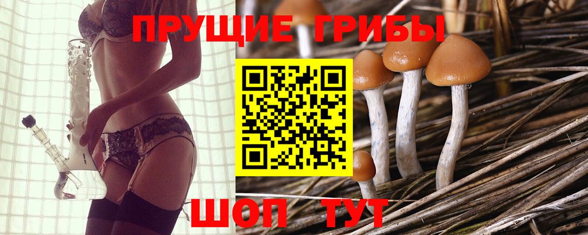 Галлюциногенные грибы прущие грибы Саянск